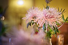 Dekoration – Event-Location Blumendekoration auf Tisch – Event-Location